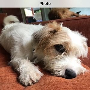 Meet your Posher, Janie